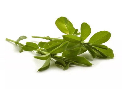 تصویر 4 از خرید و فروش خوراک دام پرواری با شرایط فوق العاده